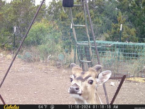 21 N High Lonesome Ranch Comstock TX 78837