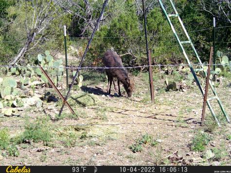 21 N High Lonesome Ranch Comstock TX 78837