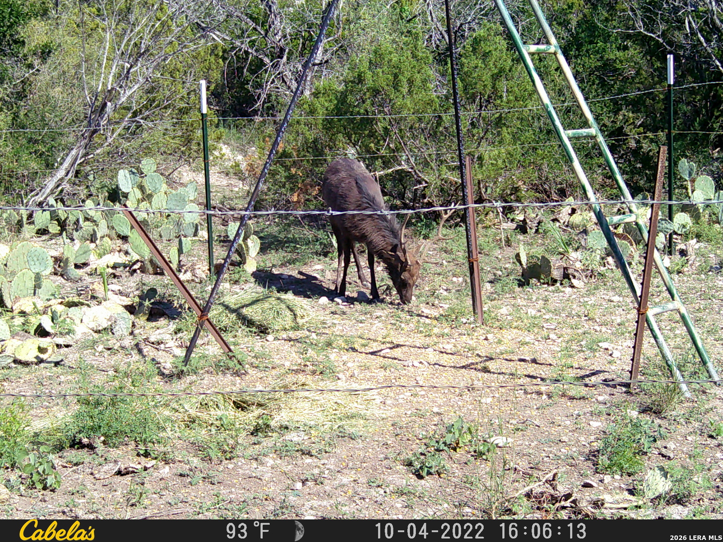 21 N High Lonesome Ranch Comstock TX 78837