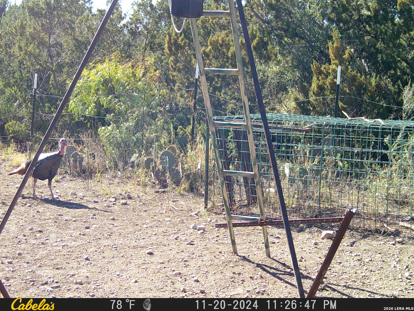 21 N High Lonesome Ranch Comstock TX 78837
