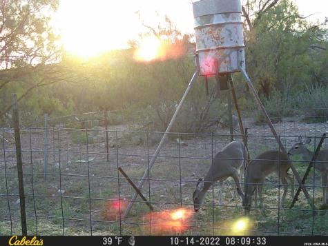 21 N High Lonesome Ranch Comstock TX 78837