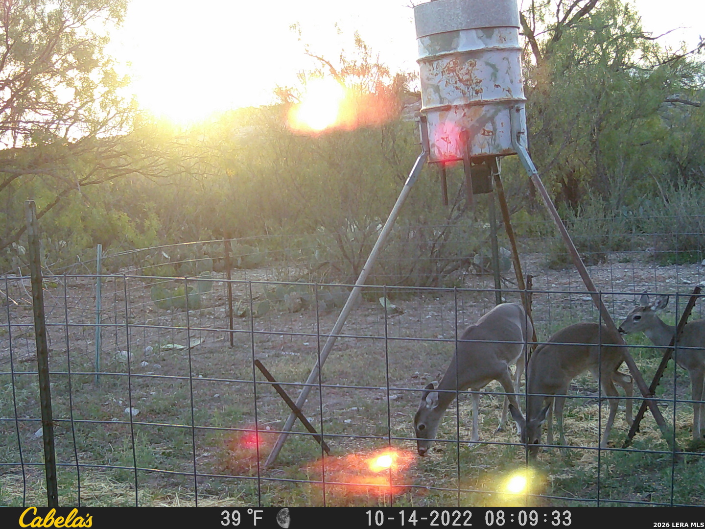 21 N High Lonesome Ranch Comstock TX 78837
