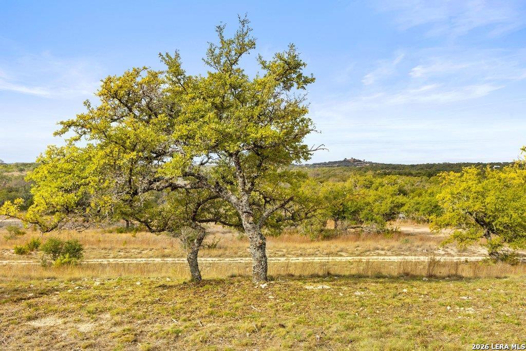 232 Crooked Oak Round Mountain TX 78663