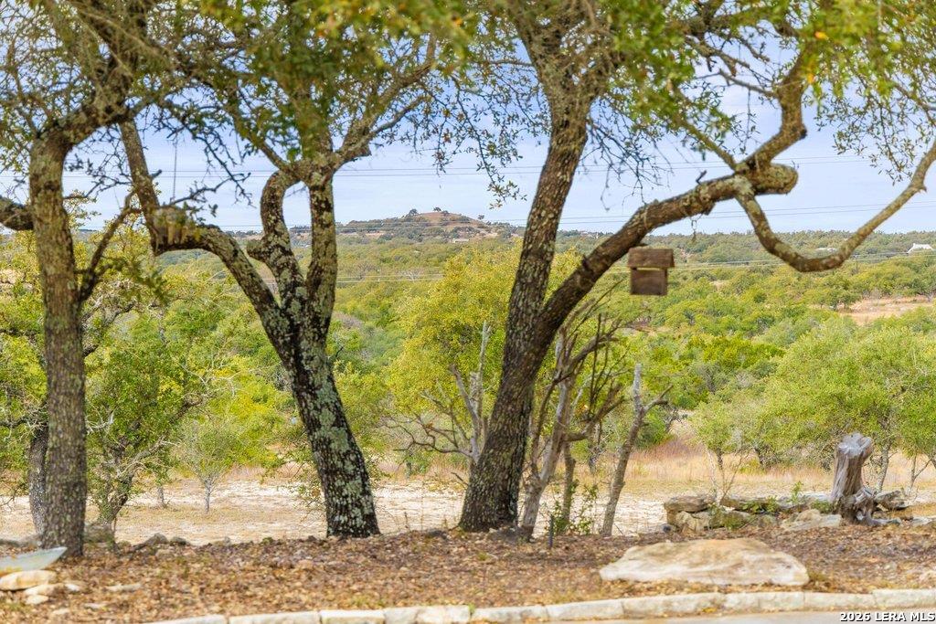 232 Crooked Oak Round Mountain TX 78663