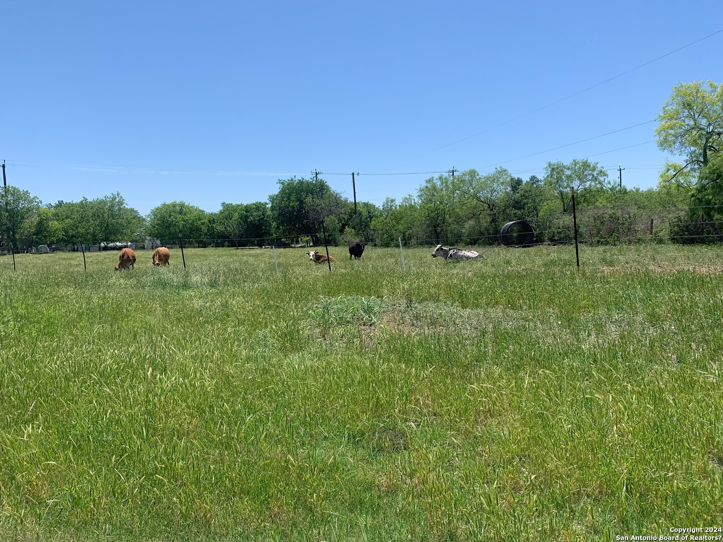 6197 Pfeil Road Schertz TX 78154