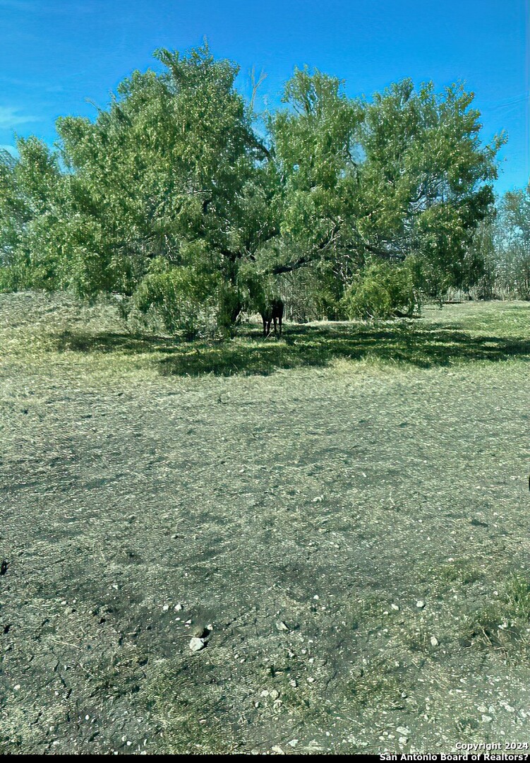 6197 Pfeil Road Schertz TX 78154