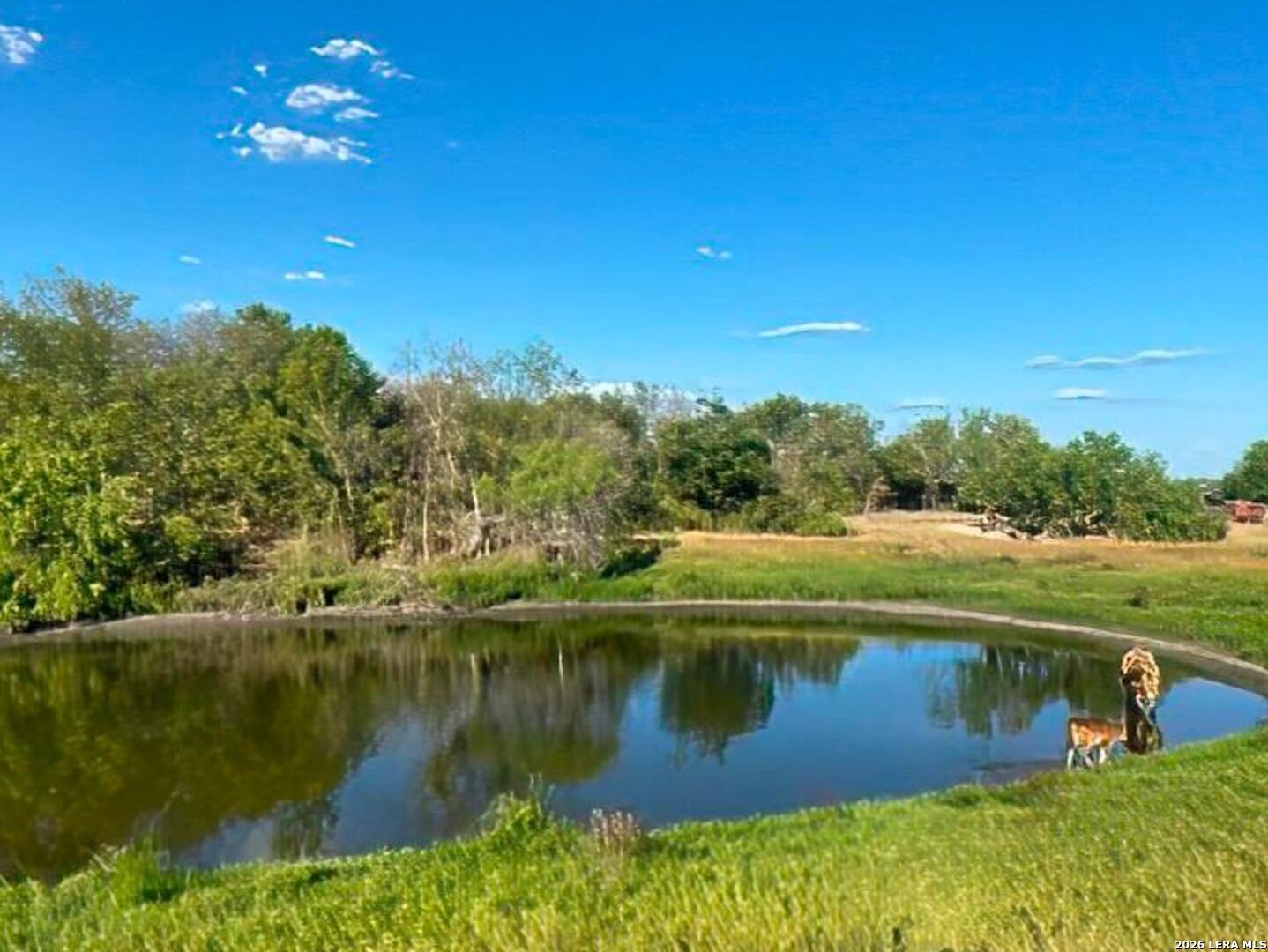 6197 Pfeil Road Schertz TX 78154