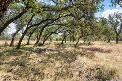 261 Watering Hole Bandera TX 78003