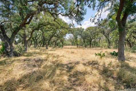 261 Watering Hole Bandera TX 78003
