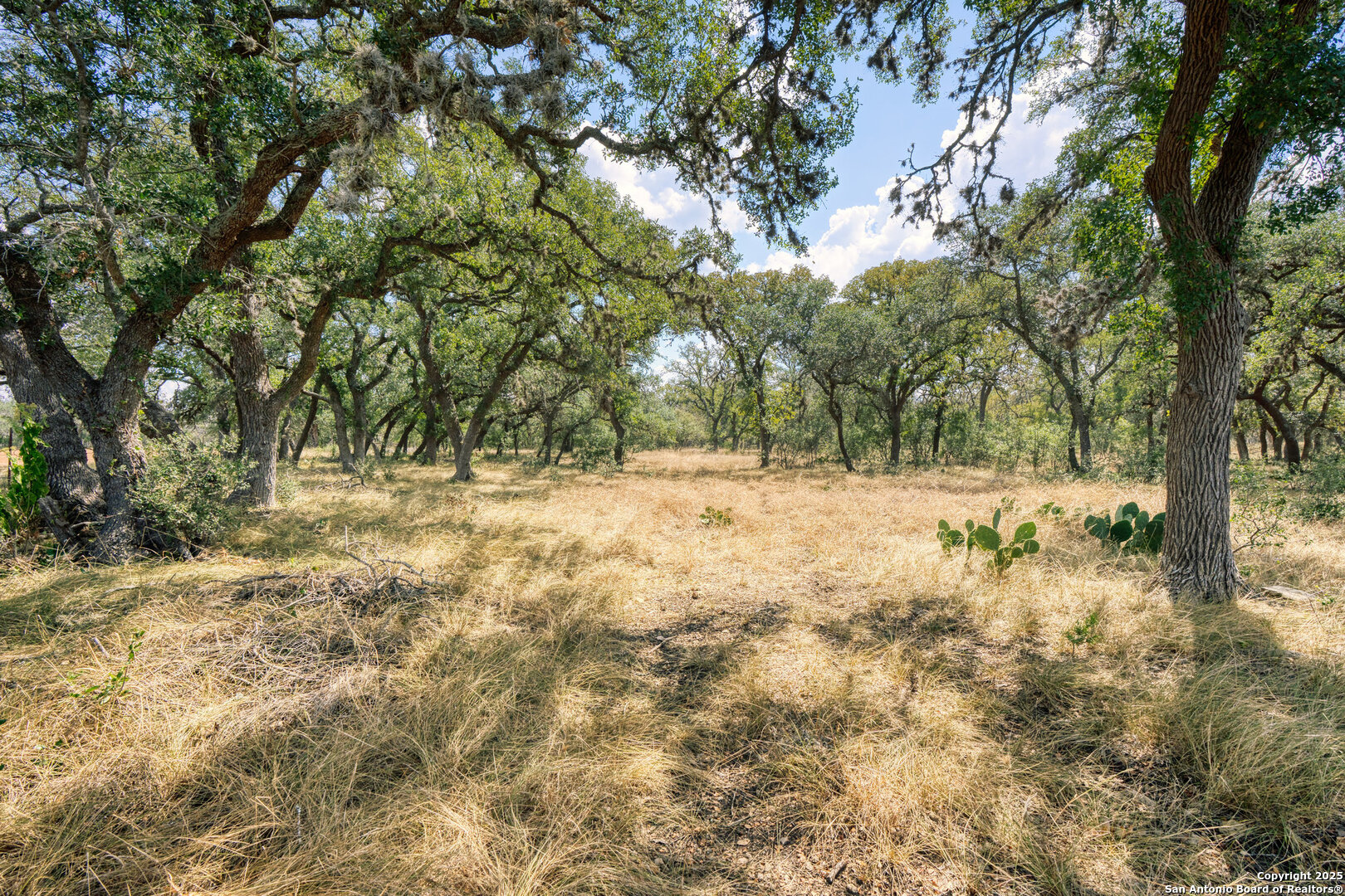 261 Watering Hole Bandera TX 78003