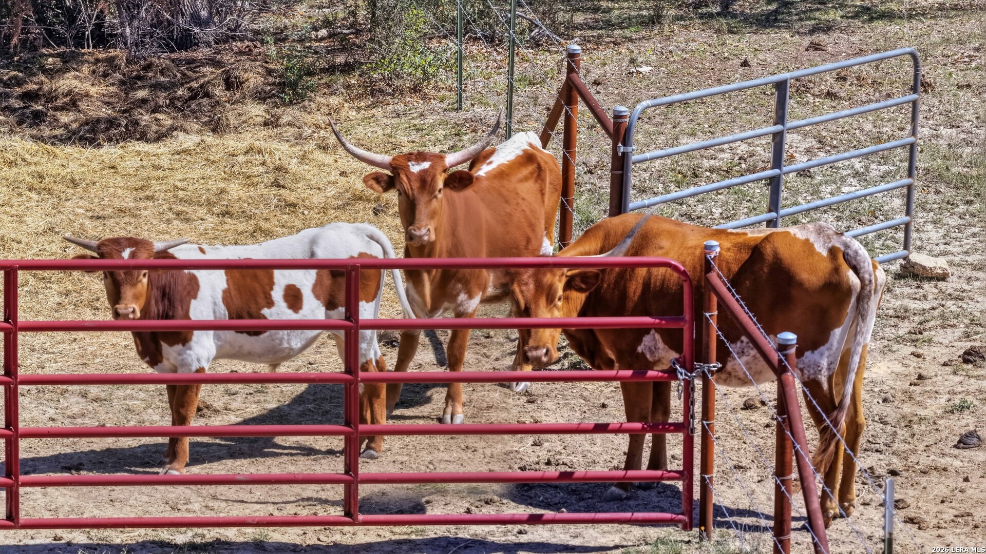 11387 Fm 32 Fischer TX 78623