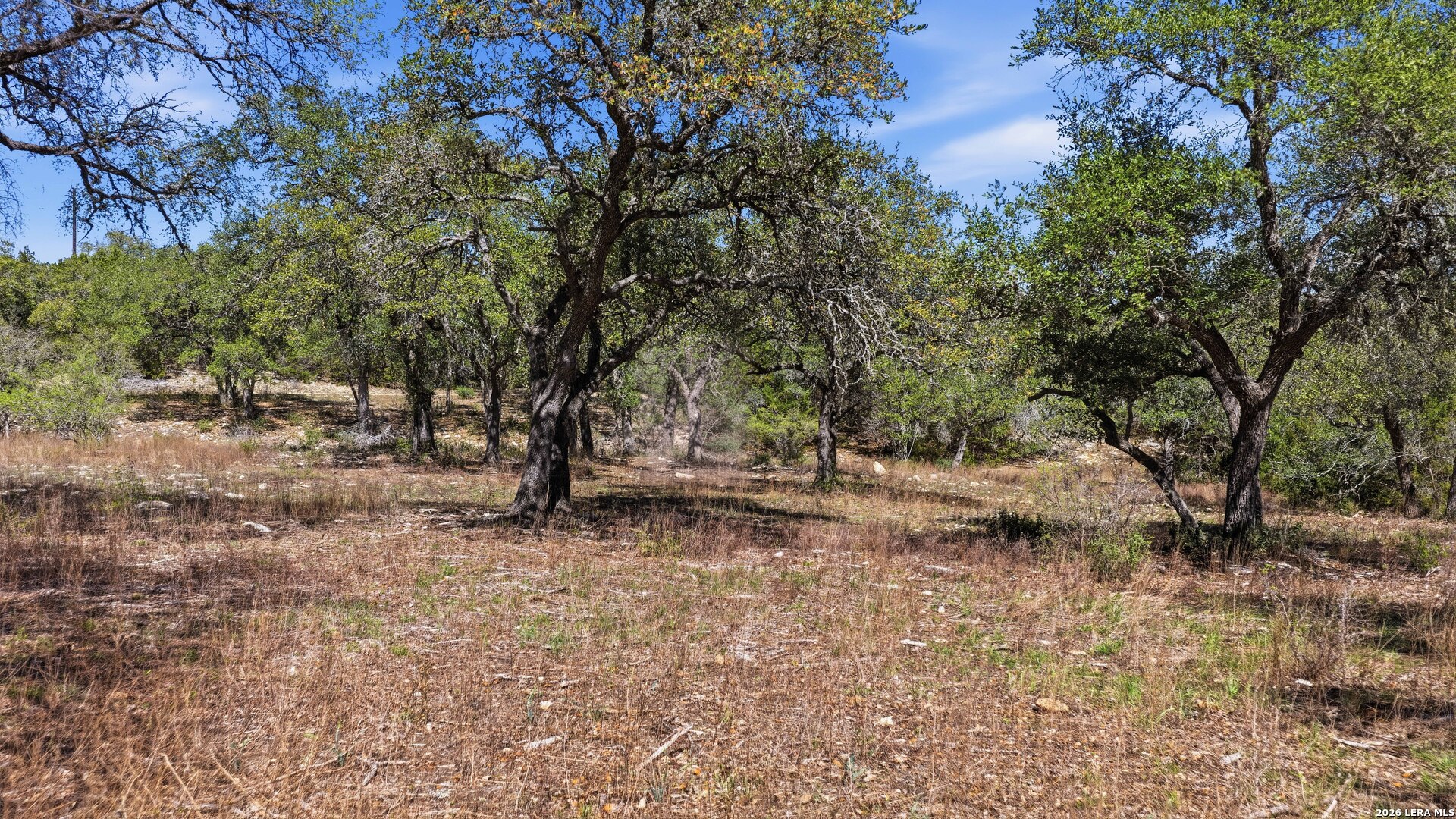 11387 Fm 32 Fischer TX 78623