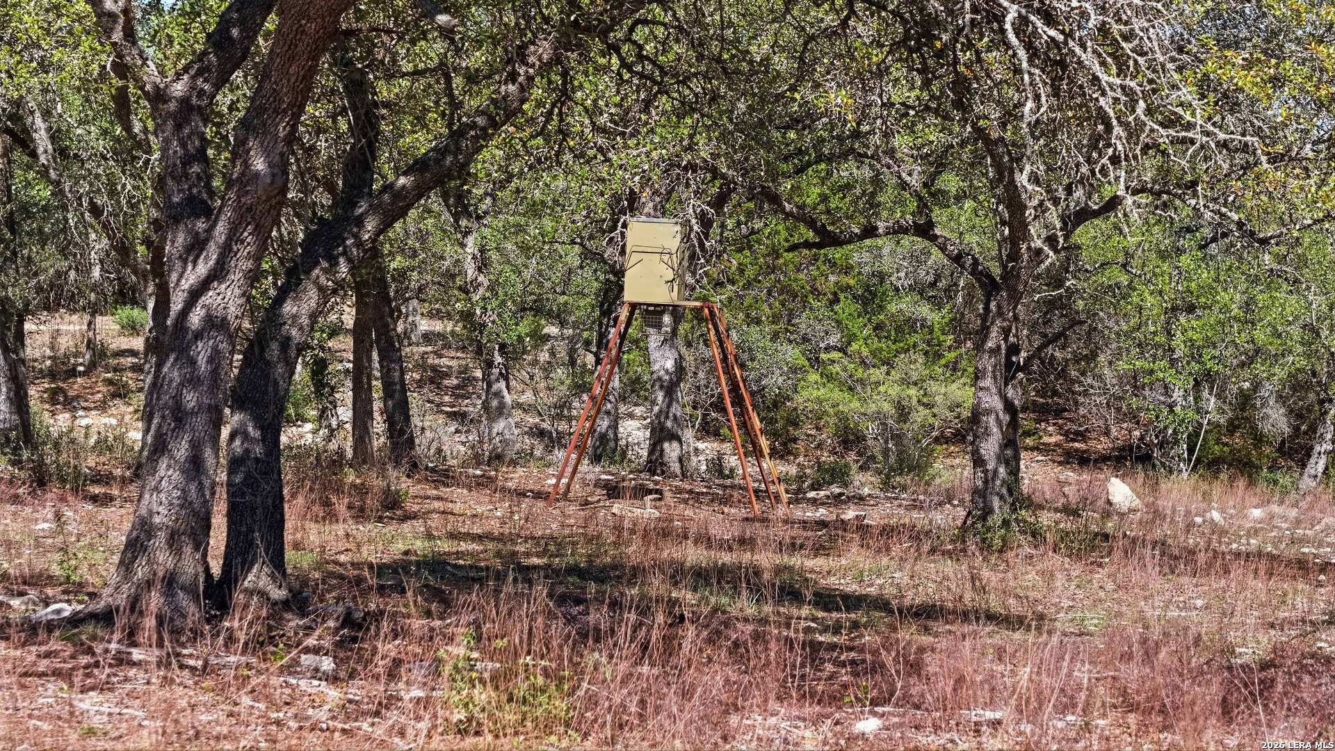 11387 Fm 32 Fischer TX 78623