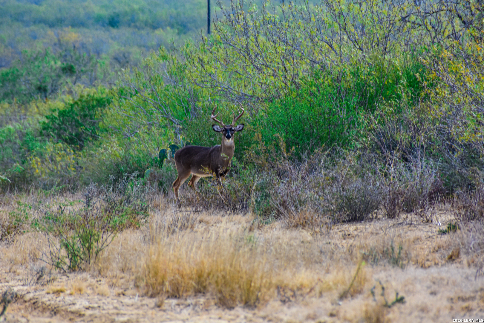 000 Easement Road Laredo TX 78045