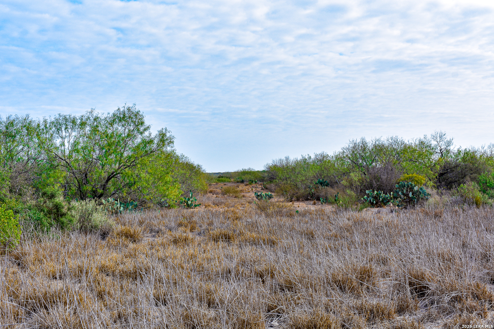 000 Easement Road Laredo TX 78045