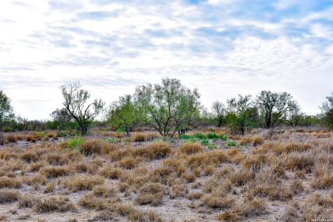 000 Easement Road Laredo TX 78045