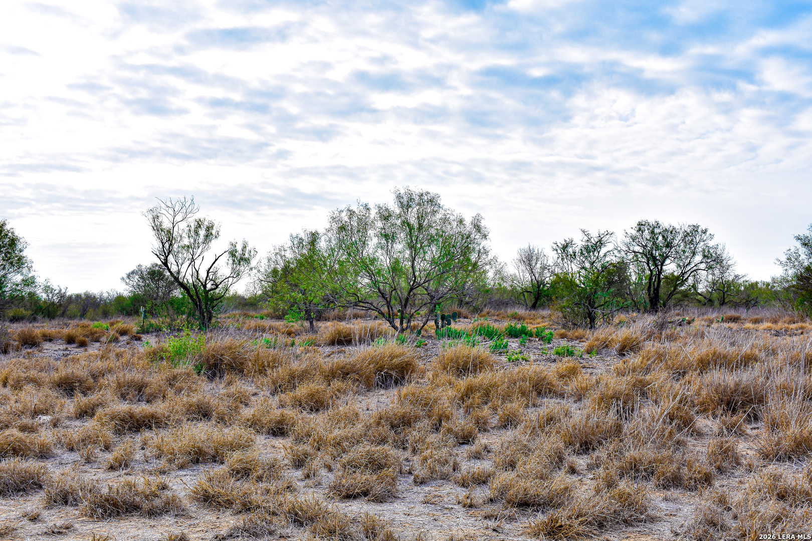 000 Easement Road Laredo TX 78045