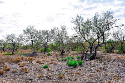 000 Easement Road Laredo TX 78045