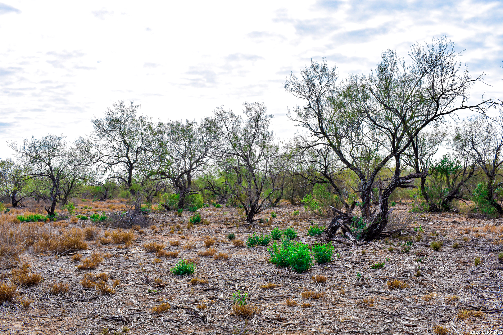 000 Easement Road Laredo TX 78045