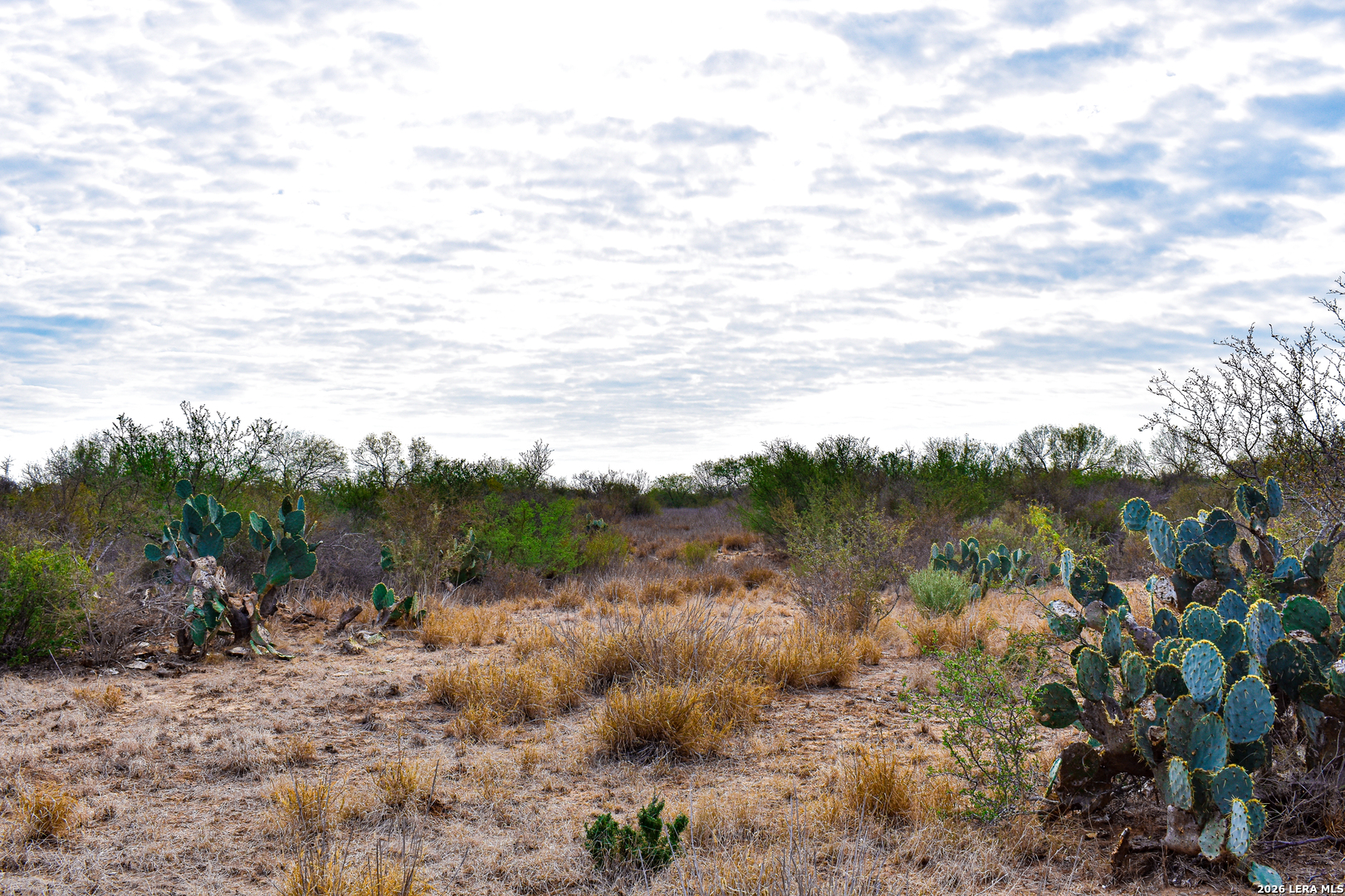 000 Easement Road Laredo TX 78045