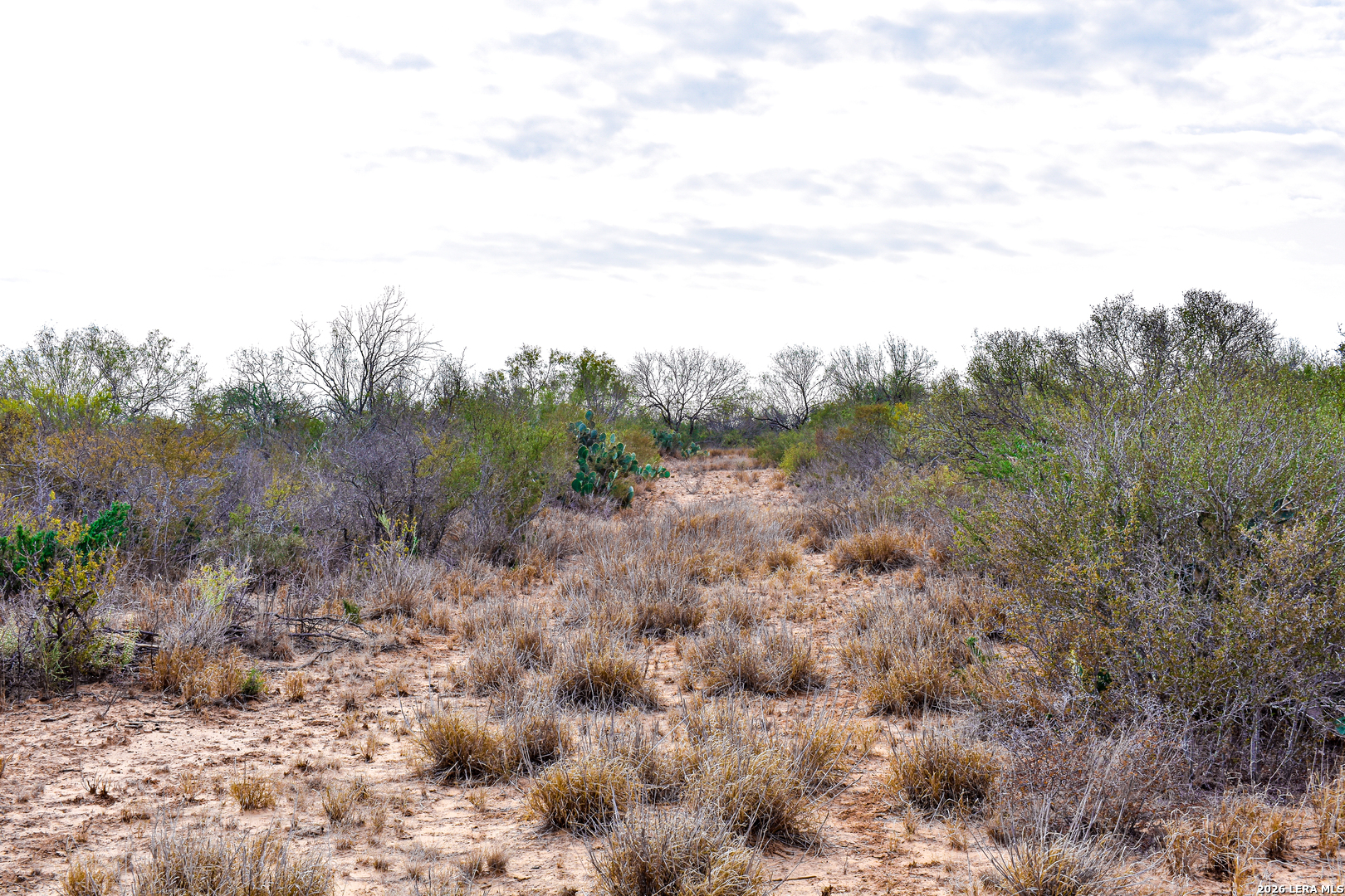 000 Easement Road Laredo TX 78045