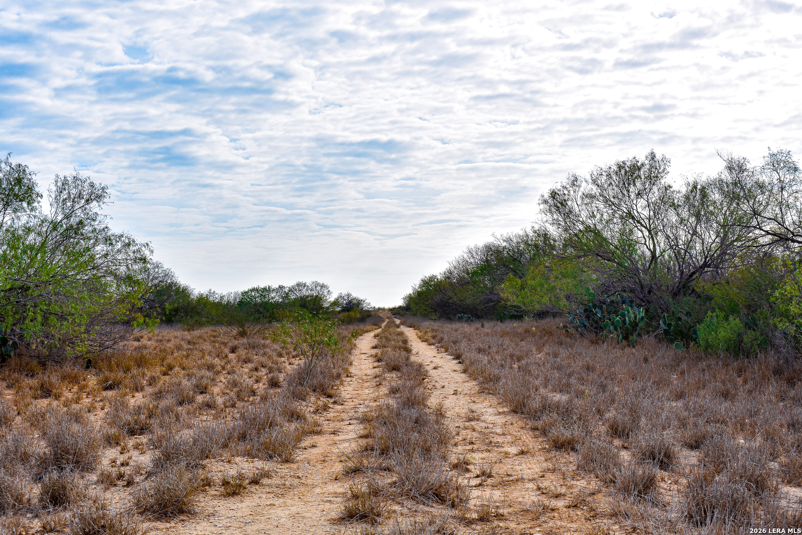 000 Easement Road Laredo TX 78045