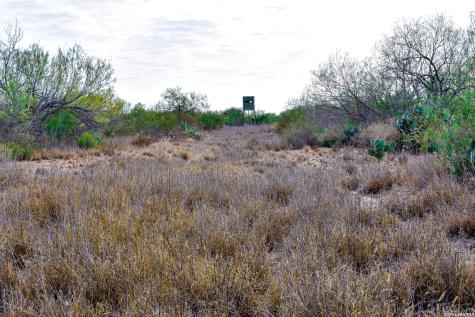 000 Easement Road Laredo TX 78045