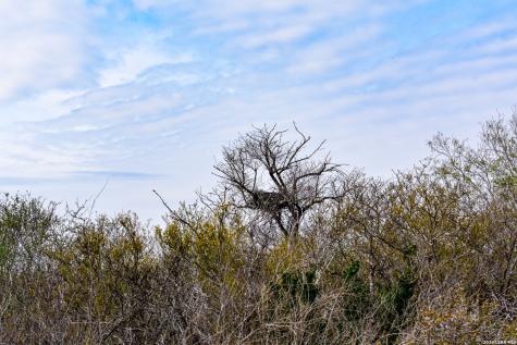000 Easement Road Laredo TX 78045