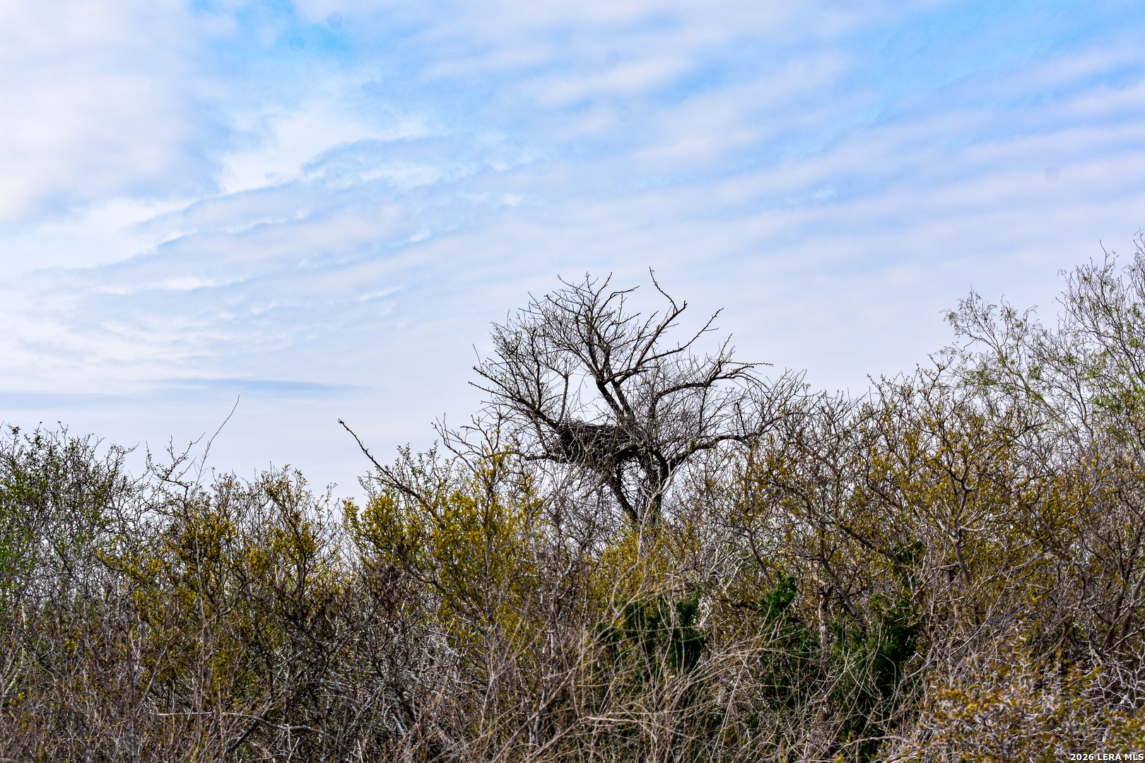 000 Easement Road Laredo TX 78045