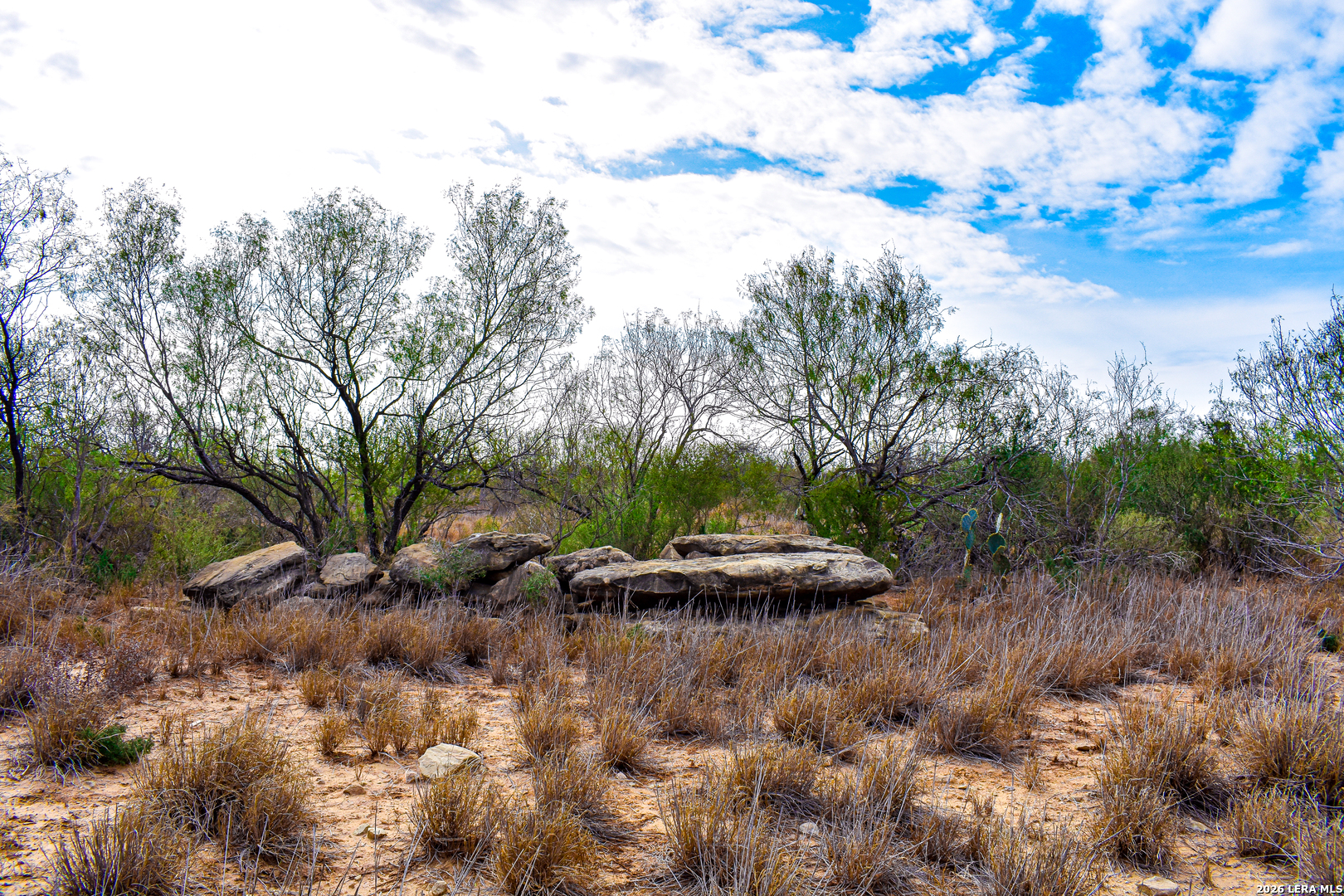 000 Easement Road Laredo TX 78045