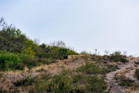 000 Easement Road Laredo TX 78045
