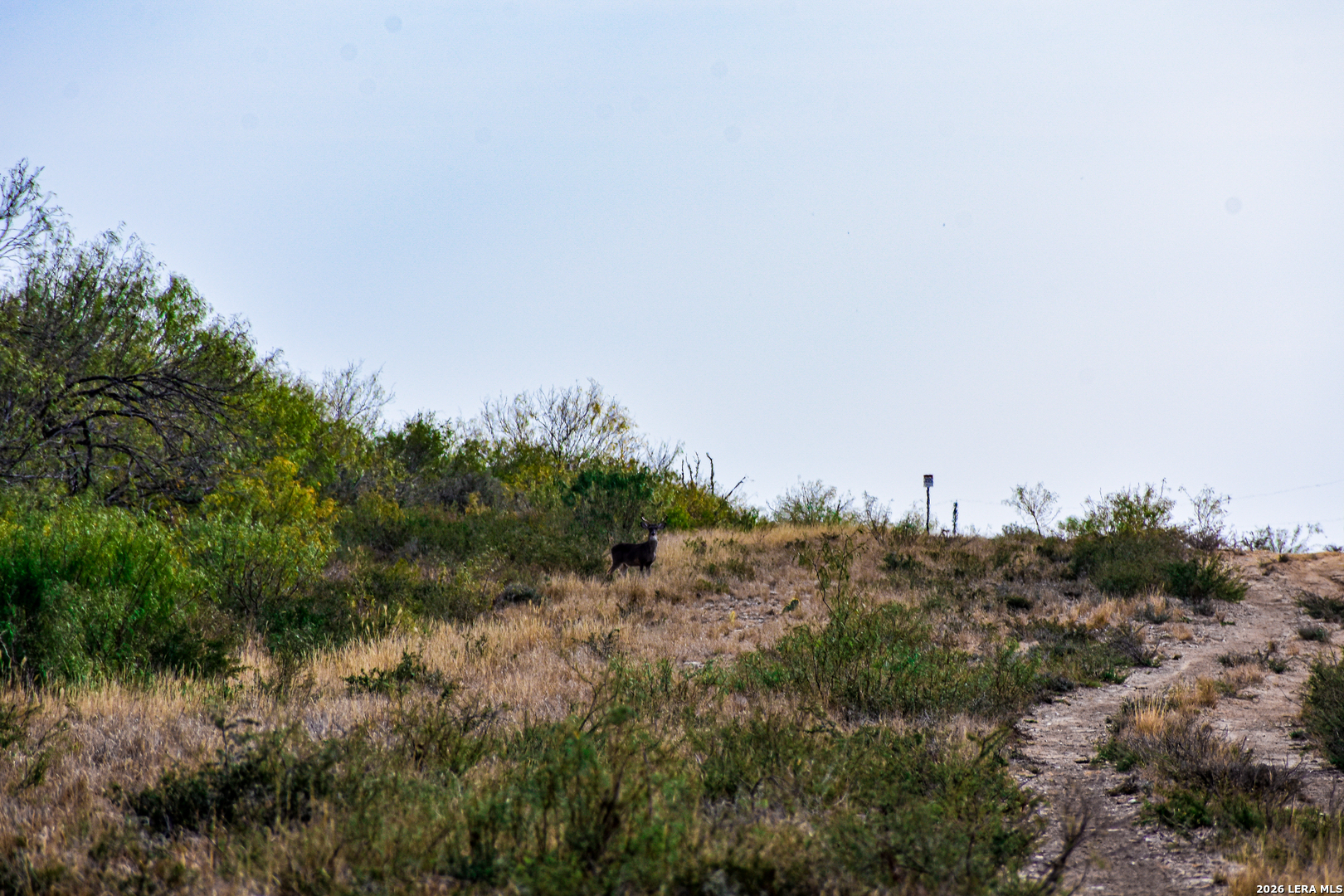 000 Easement Road Laredo TX 78045