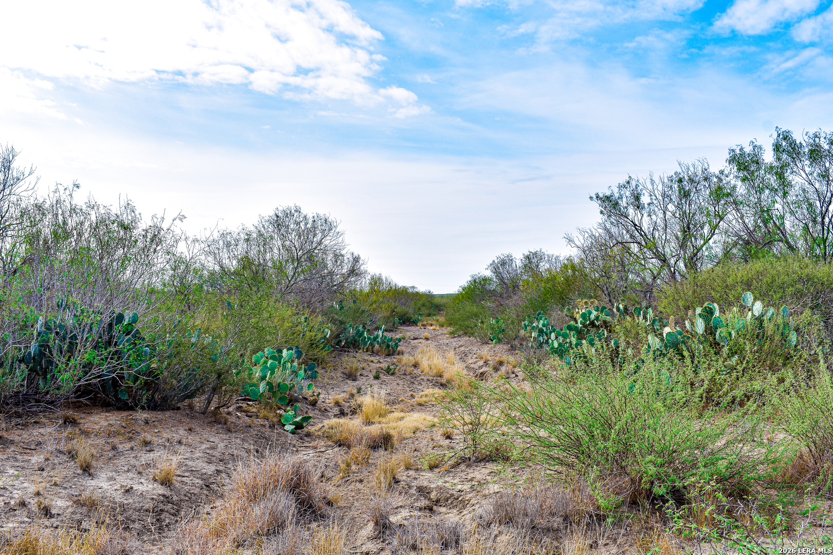 000 Easement Road Laredo TX 78045