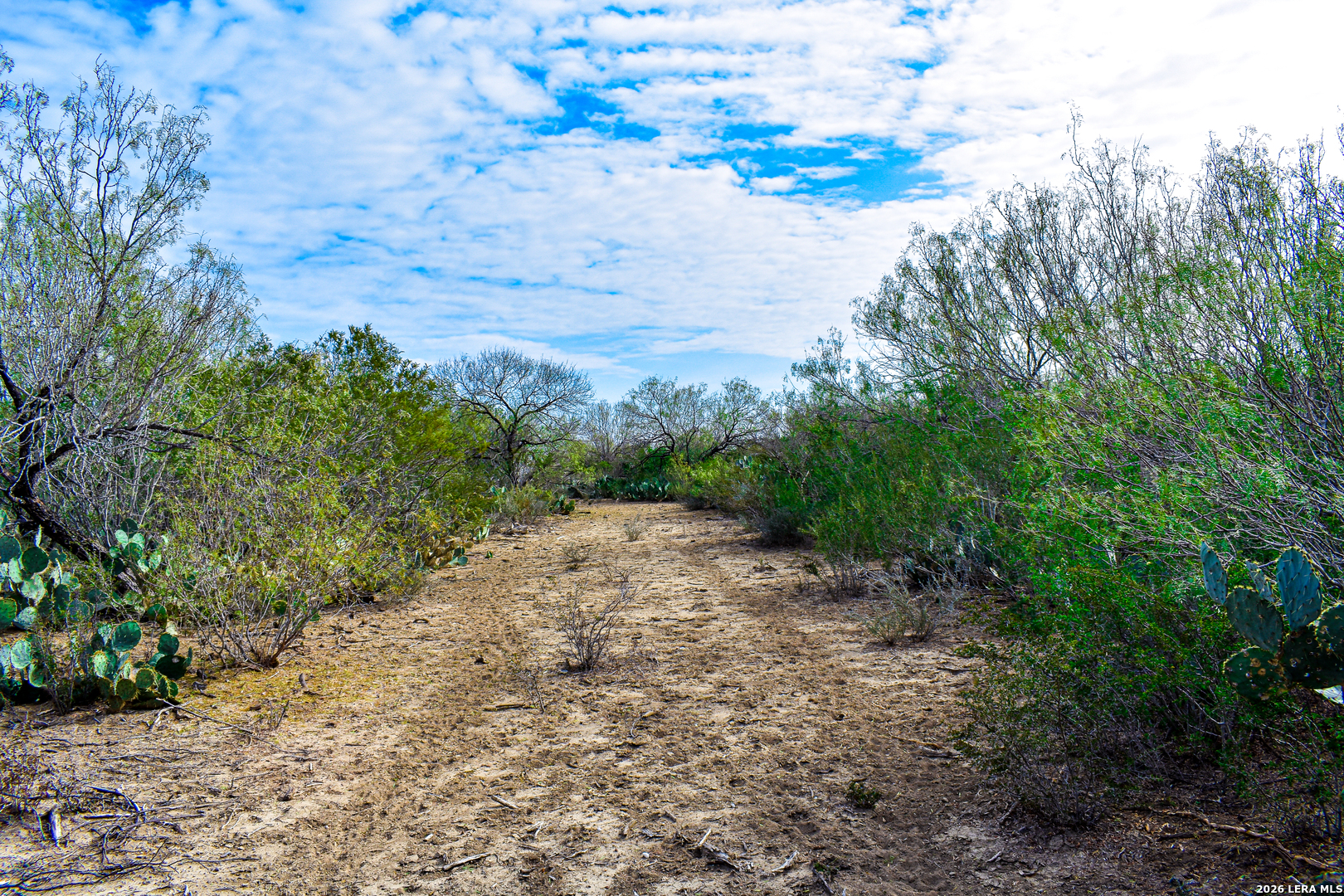 000 Easement Road Laredo TX 78045