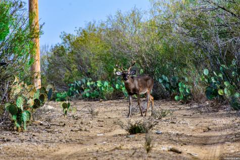 000 Easement Road Laredo TX 78045