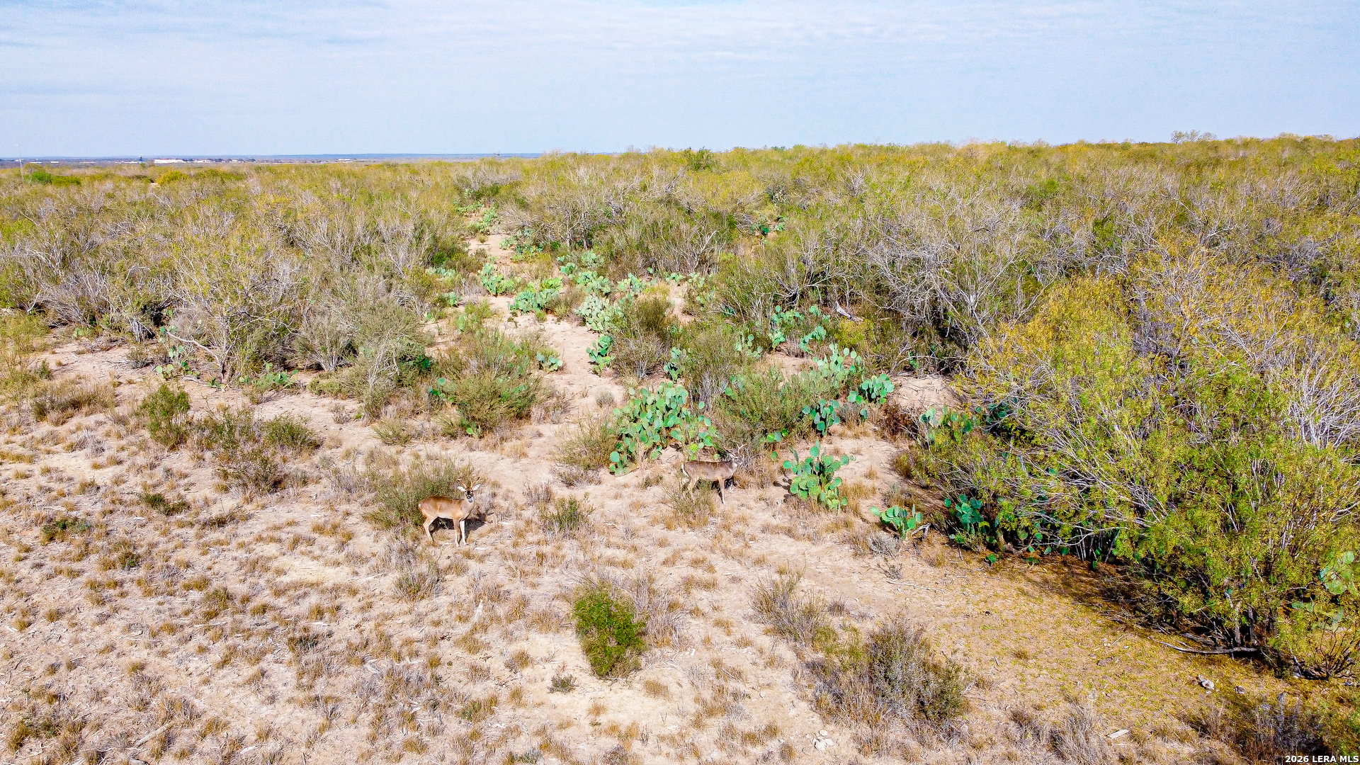 000 Easement Road Laredo TX 78045