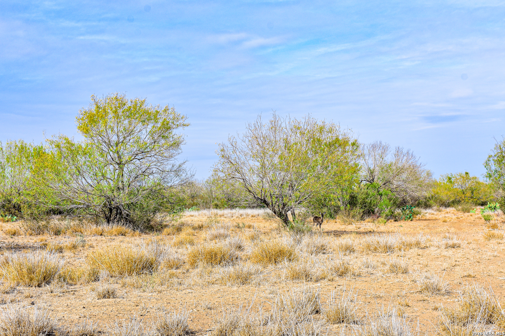 000 Easement Road Laredo TX 78045