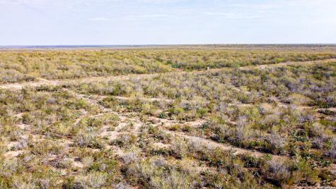 000 Easement Road Laredo TX 78045