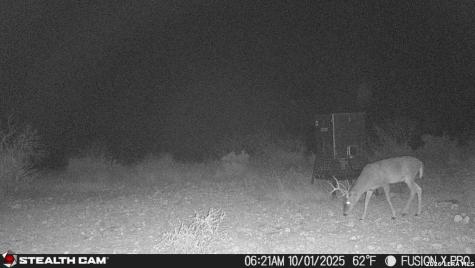 00 Cr 107 Ozona TX 76943