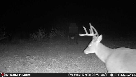 00 Cr 107 Ozona TX 76943