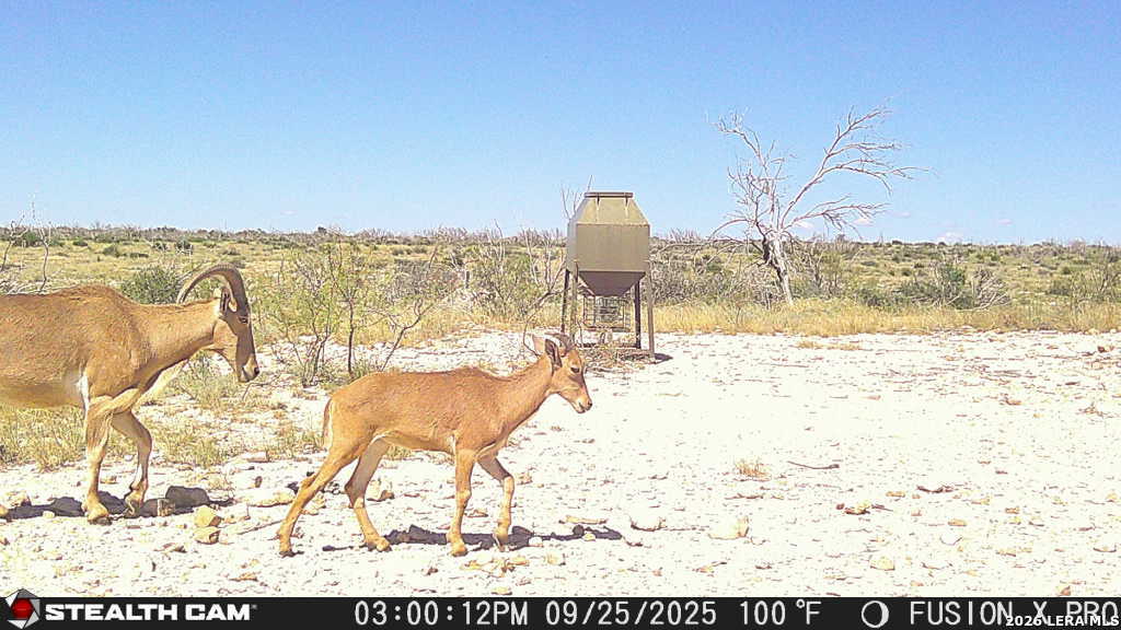 00 Cr 107 Ozona TX 76943