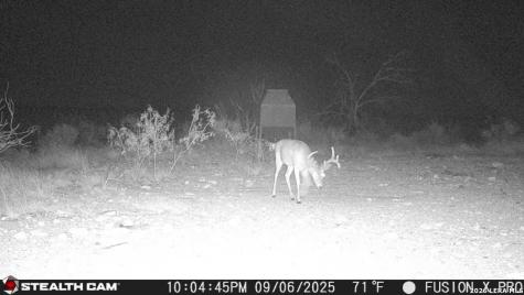 00 Cr 107 Ozona TX 76943