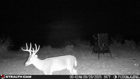00 Cr 107 Ozona TX 76943
