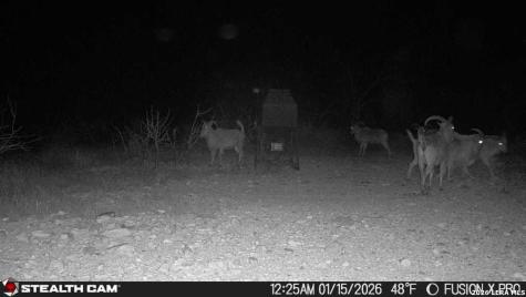 00 Cr 107 Ozona TX 76943