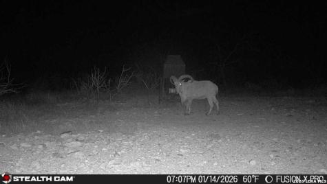 00 Cr 107 Ozona TX 76943