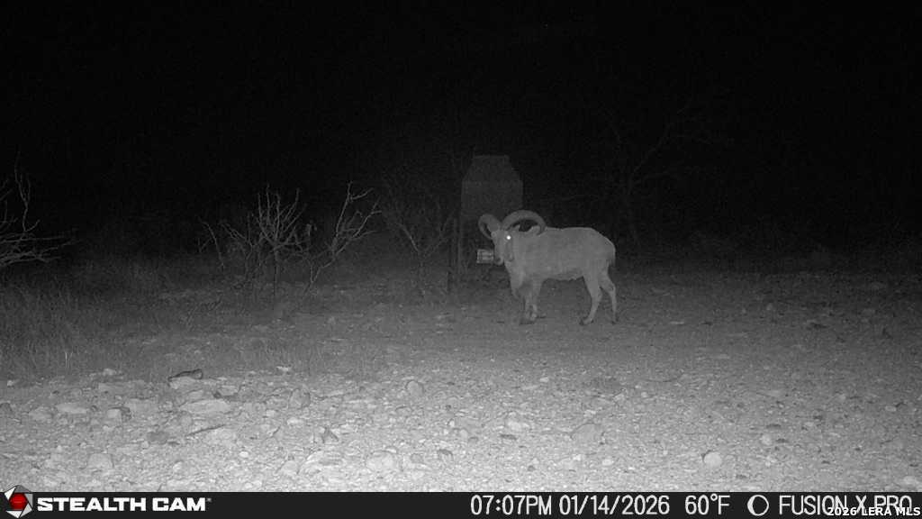 00 Cr 107 Ozona TX 76943