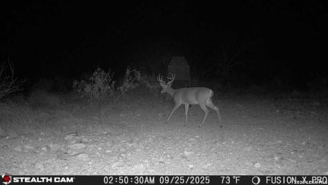 00 Cr 107 Ozona TX 76943