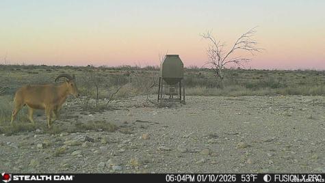 00 Cr 107 Ozona TX 76943