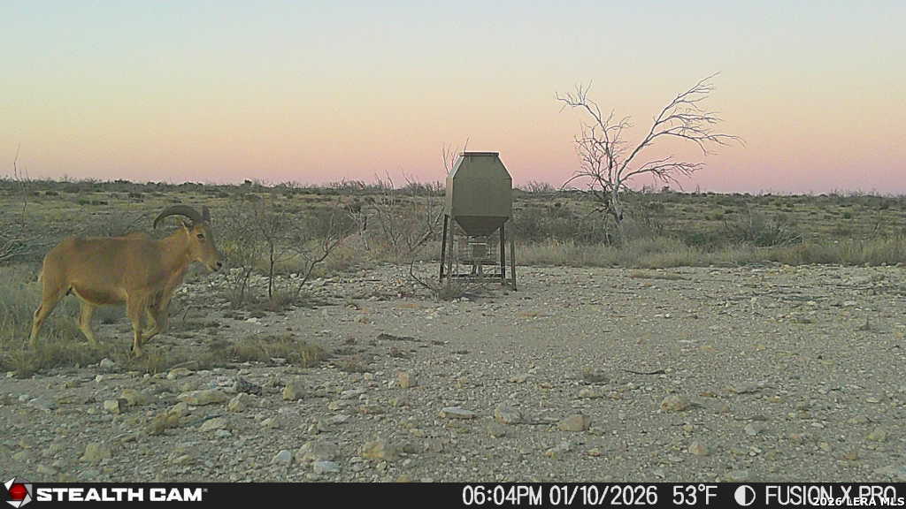 00 Cr 107 Ozona TX 76943