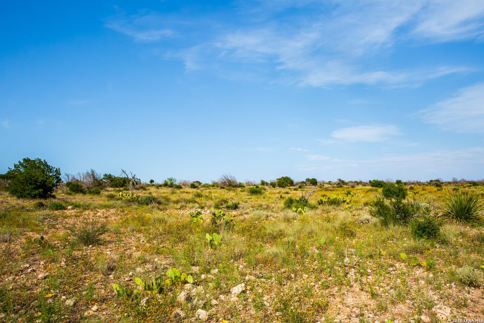 00 Cr 107 Ozona TX 76943